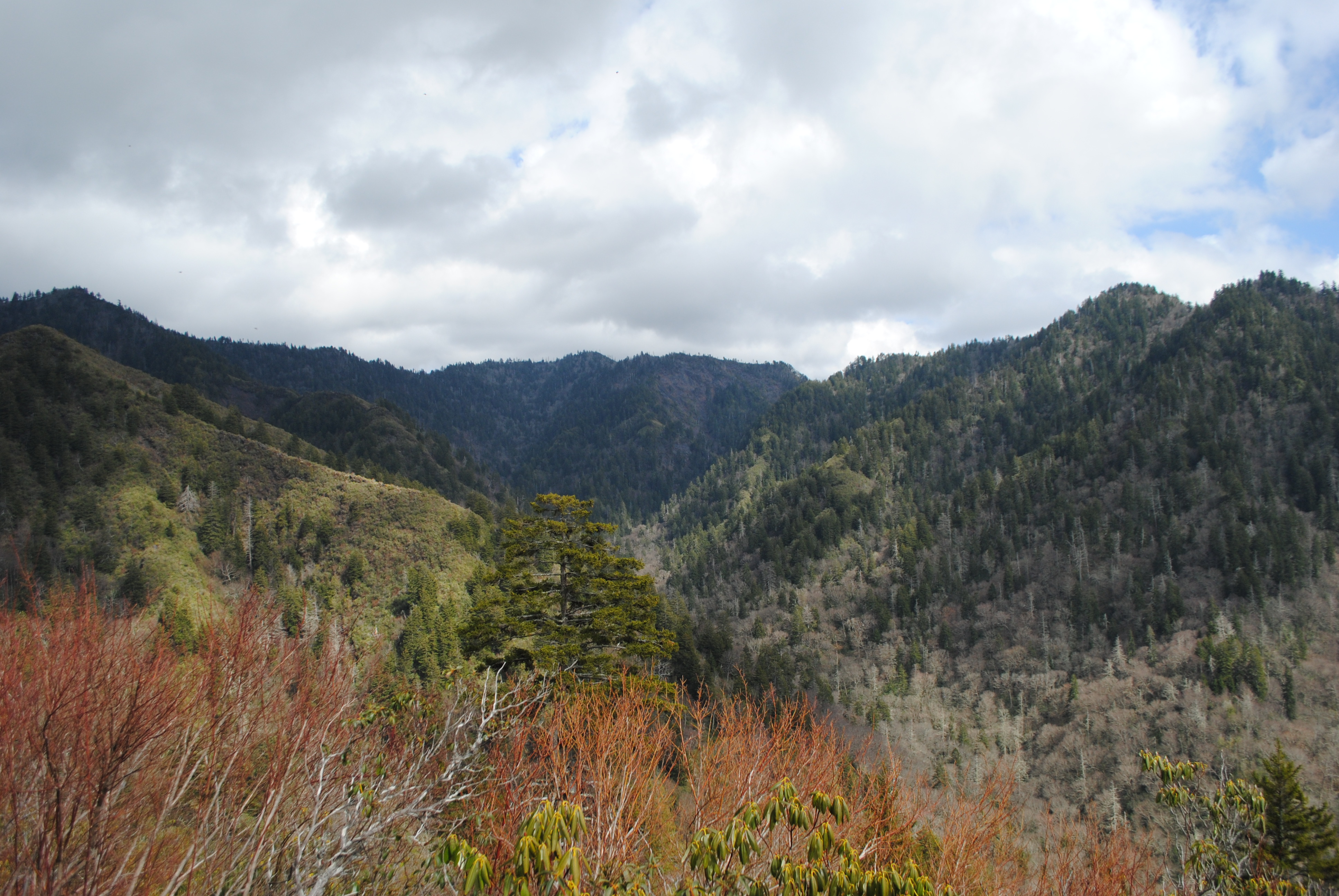 Smoky Mountains